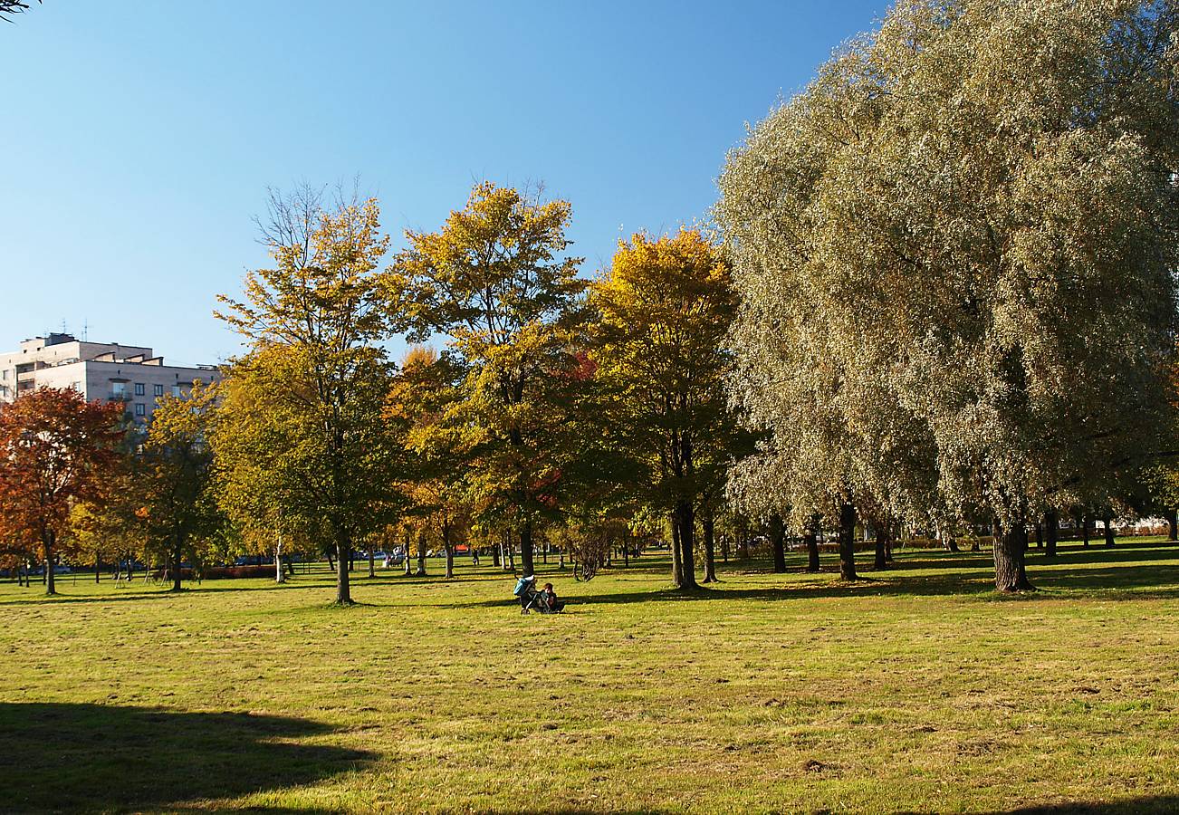 Пустырь на Академической, image of landscape/habitat.