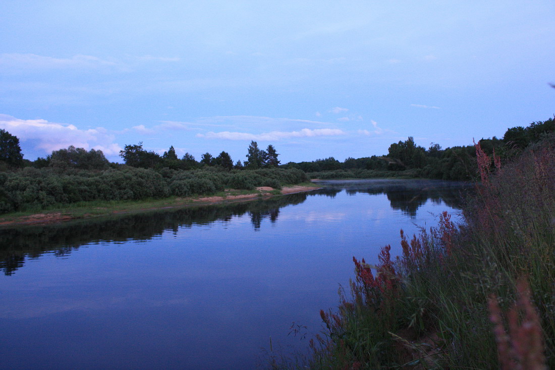 Пойма Луги у дер. Кемка, image of landscape/habitat.