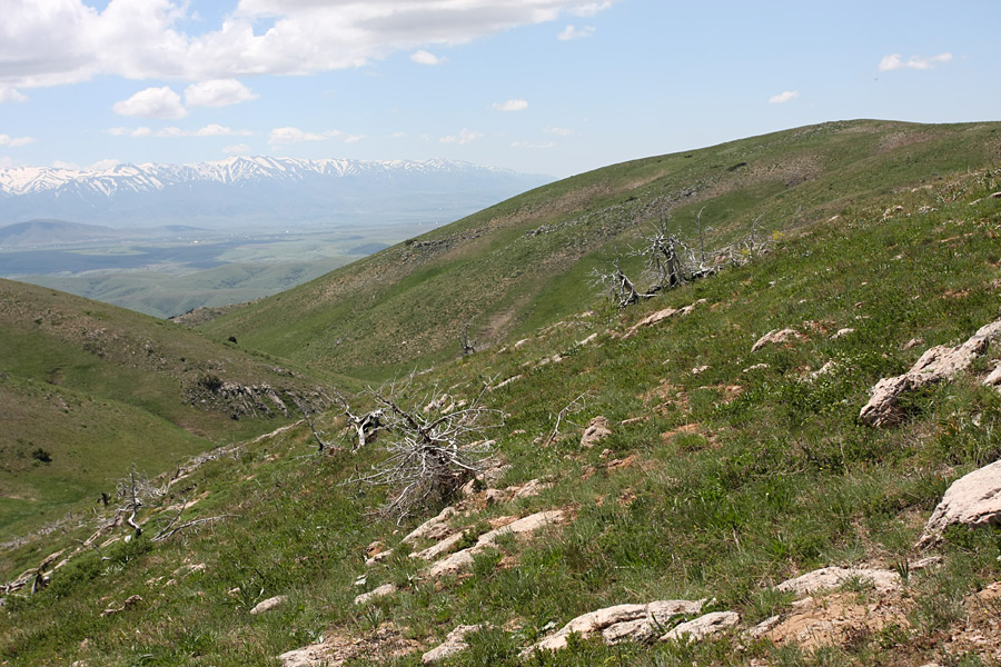 Горы Алатау, image of landscape/habitat.