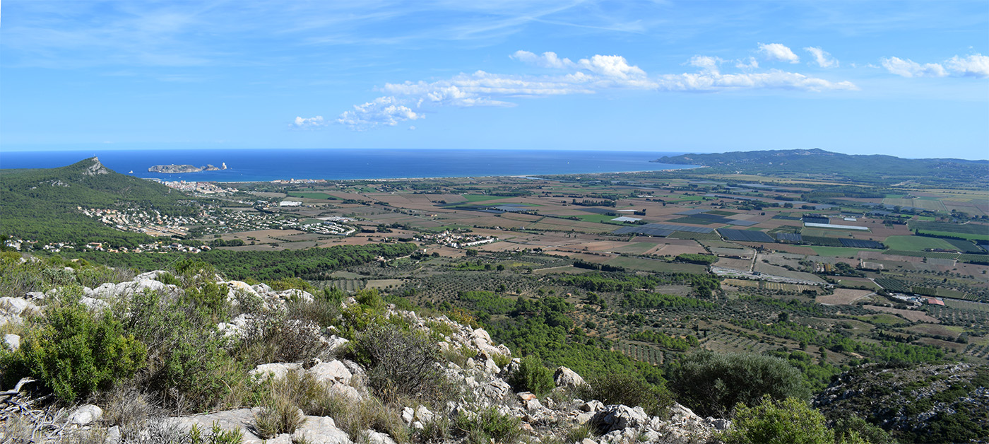 Горный массив Монгри, image of landscape/habitat.