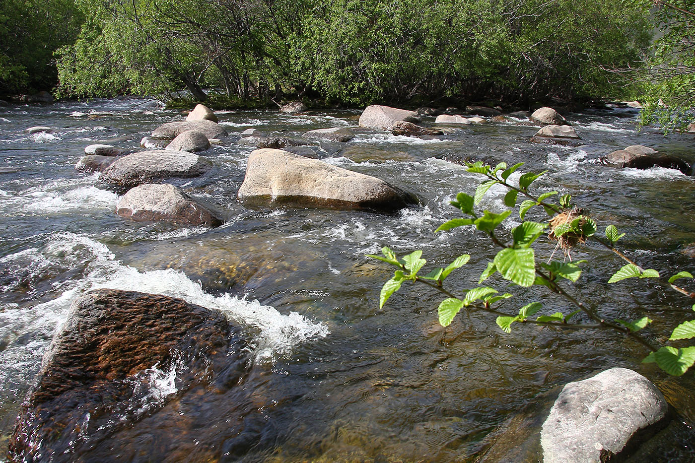 Окрестности Сармы, image of landscape/habitat.