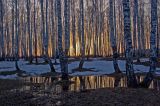 Окрестности деревни Бекленищева, image of landscape/habitat.