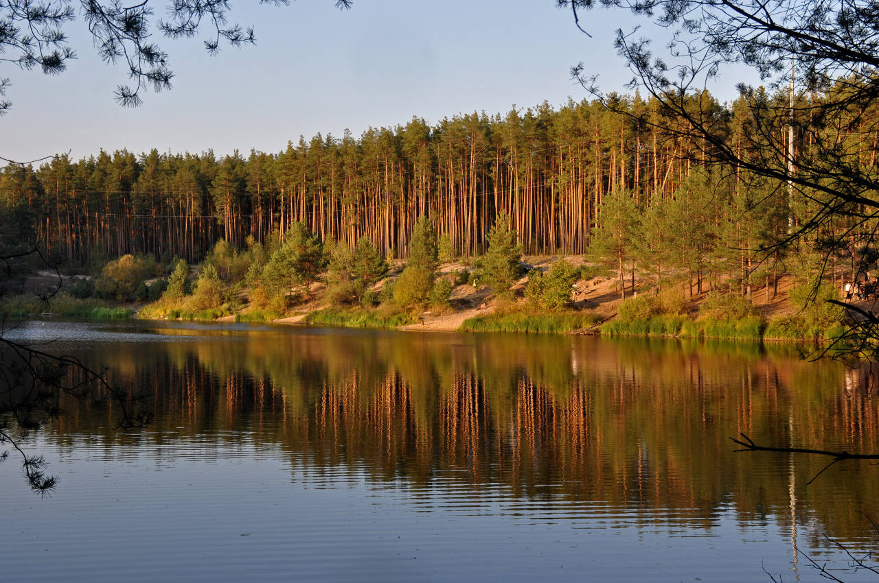 Долина реки Нерская, image of landscape/habitat.