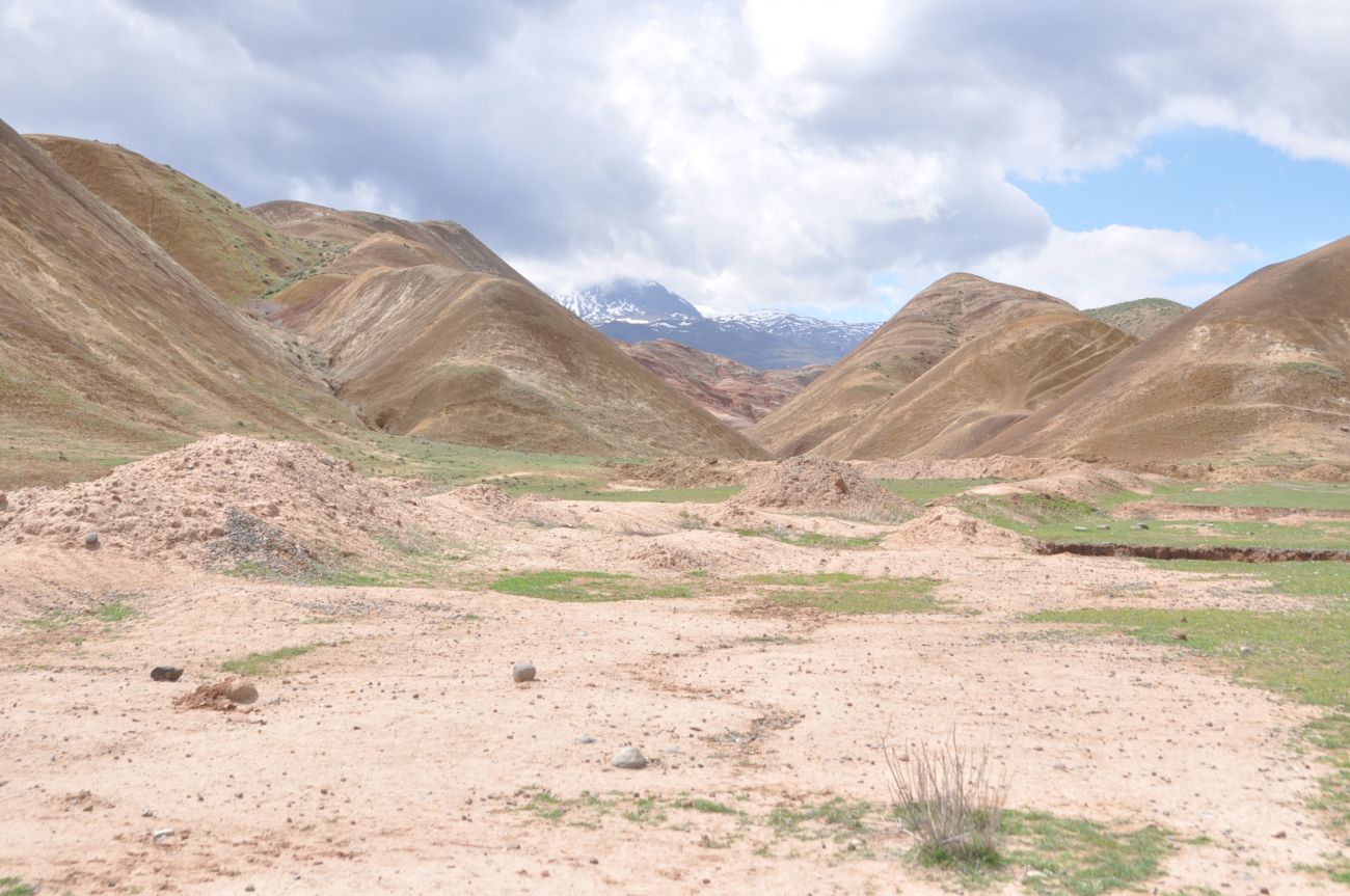 Урочище Красные горы, image of landscape/habitat.