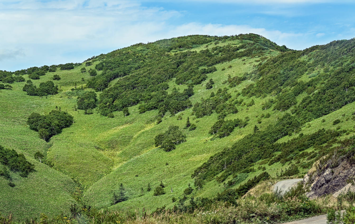 Гора Бережная, image of landscape/habitat.