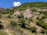 Image of landscape