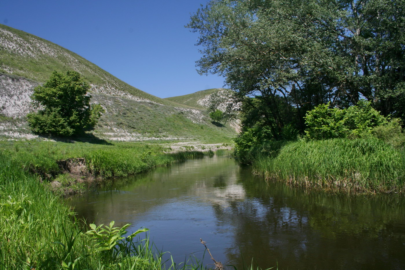 Стефанидовка, image of landscape/habitat.