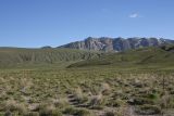 Кальдера Немрут, image of landscape/habitat.