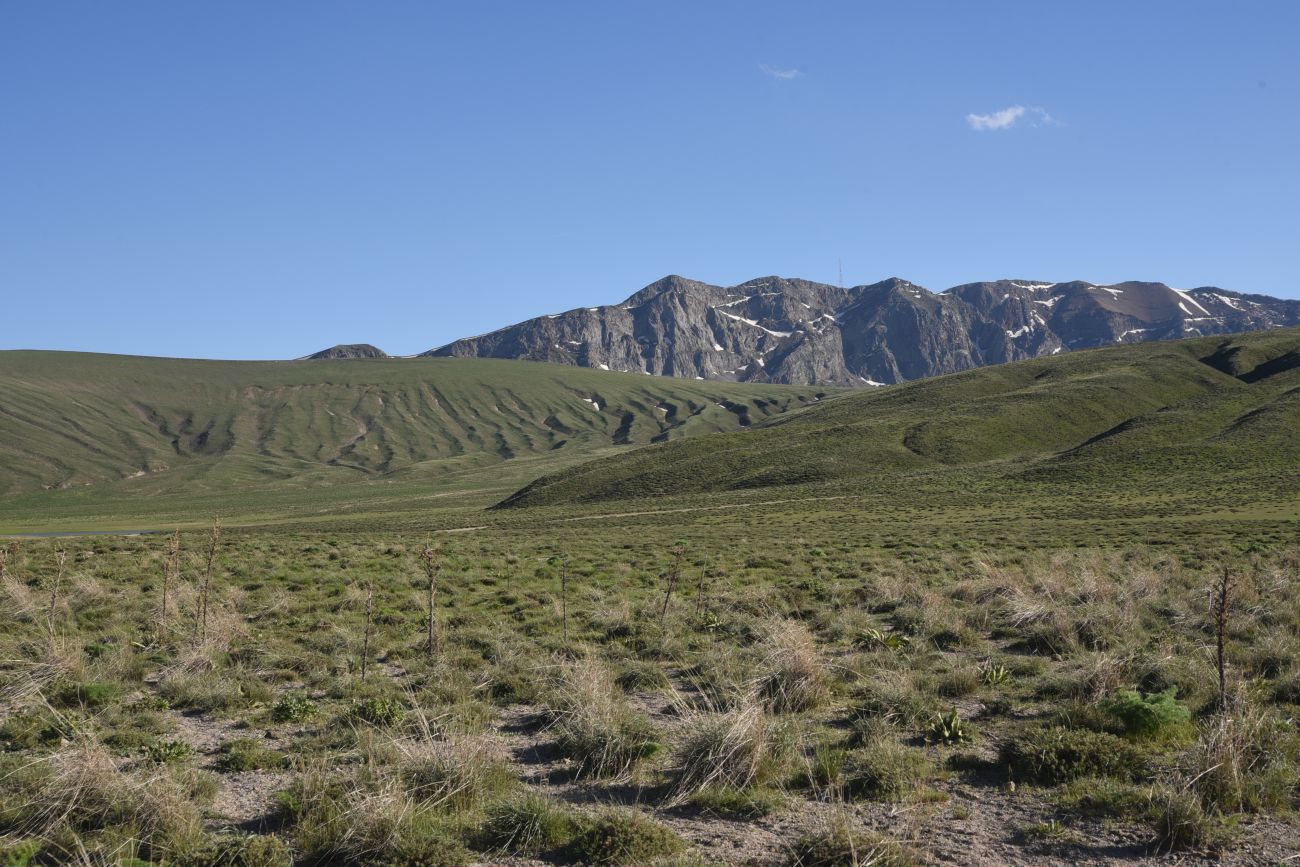 Кальдера Немрут, image of landscape/habitat.