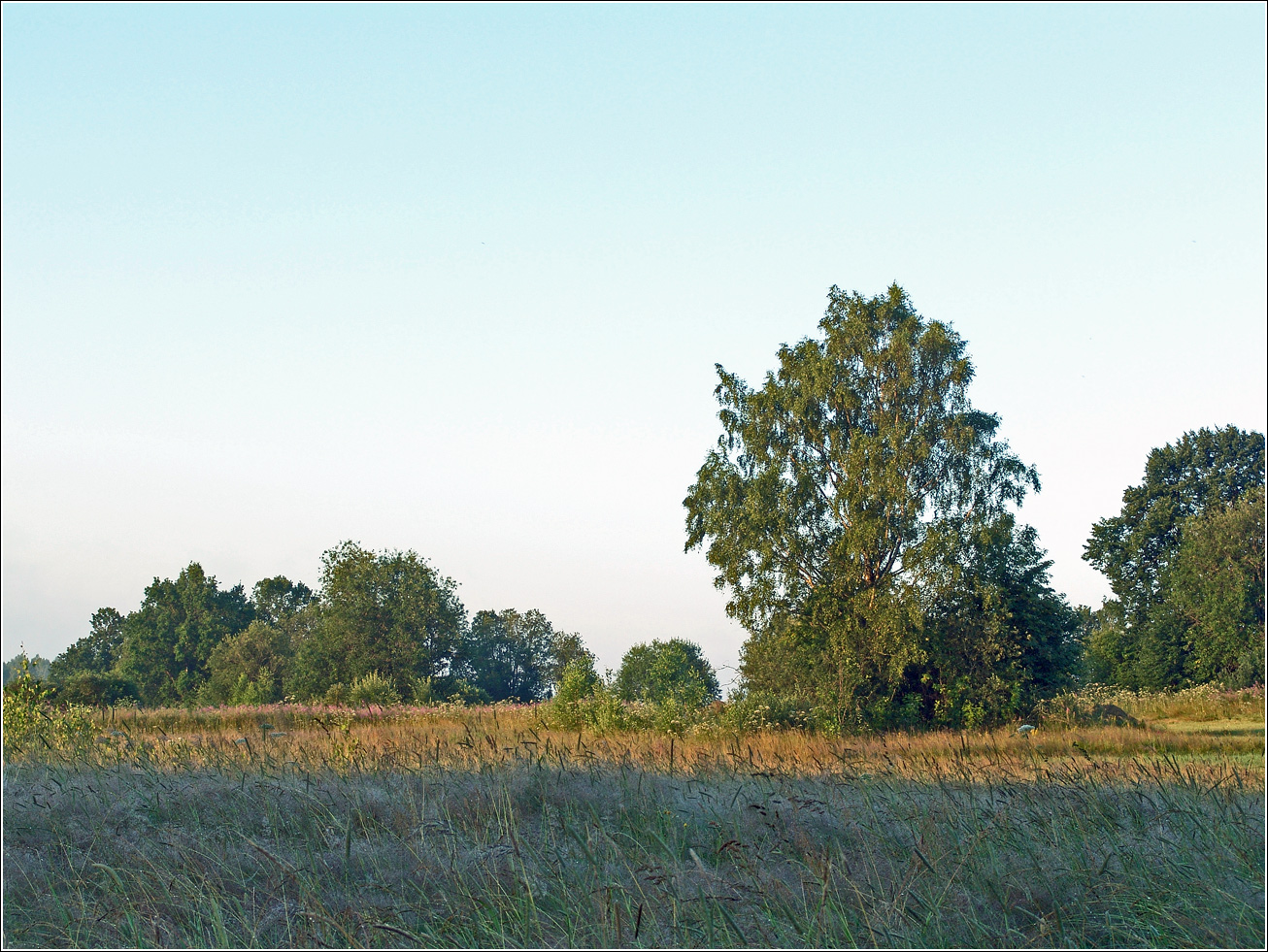 Вазуза, изображение ландшафта.