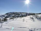 Горелая сопка, image of landscape/habitat.