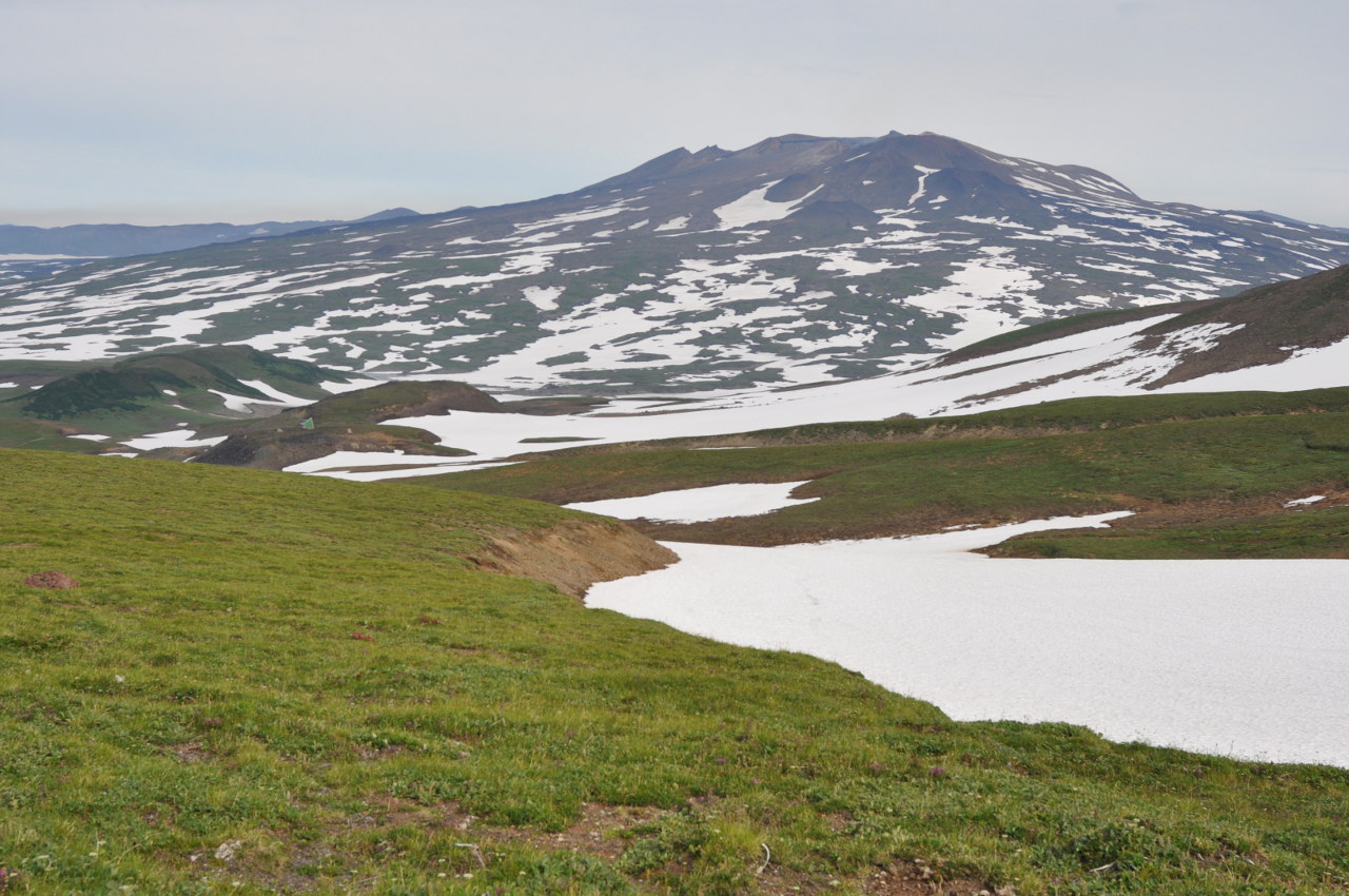 Вулкан Мутновский, image of landscape/habitat.