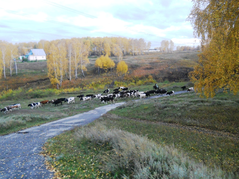 Дарвинская тропа, изображение ландшафта.