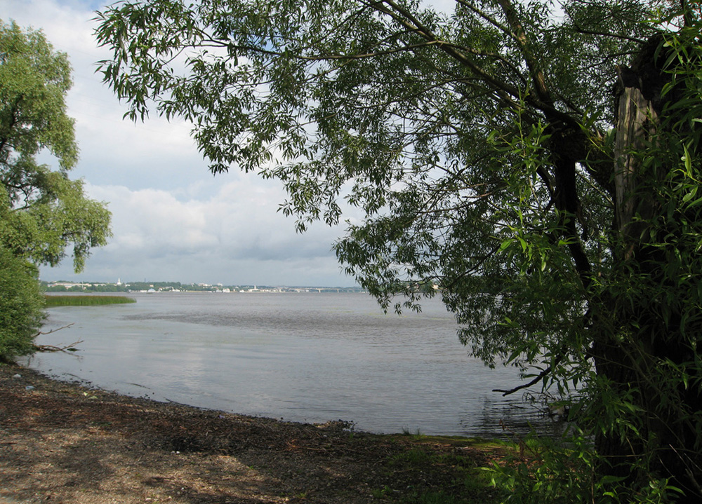 Левый берег реки Волга, изображение ландшафта.