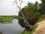 Image of landscape