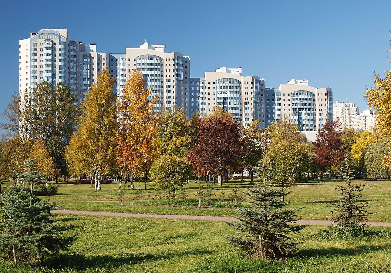 Пустырь на Академической, image of landscape/habitat.