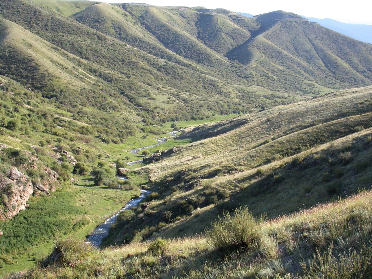 Шет-Мерке, image of landscape/habitat.