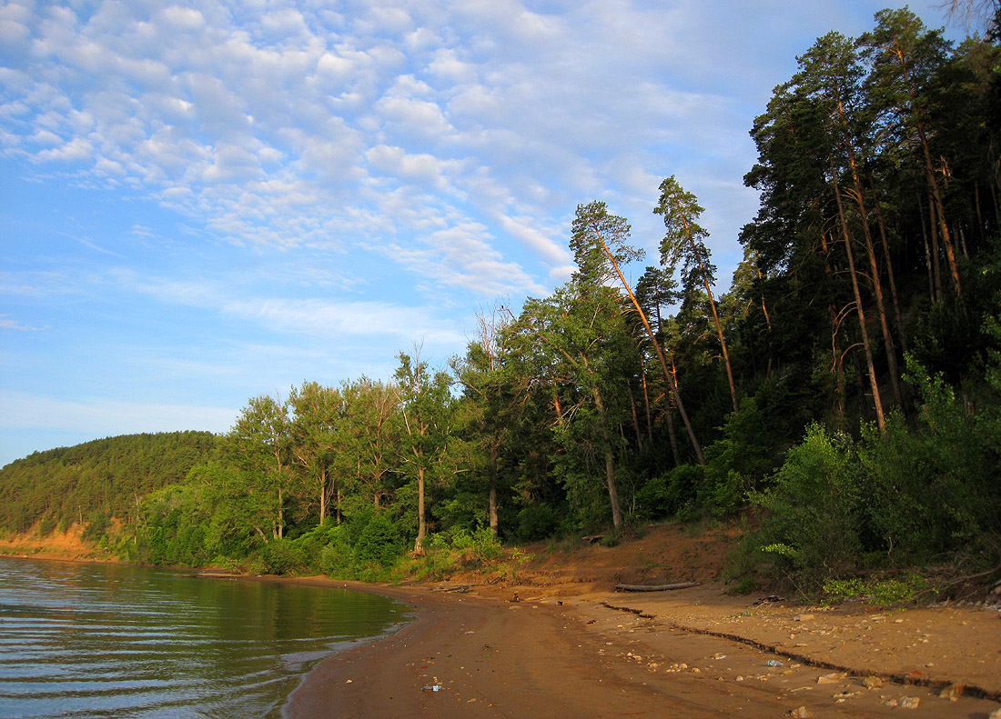Танайский лес, image of landscape/habitat.