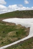 Горы Алатау, image of landscape/habitat.