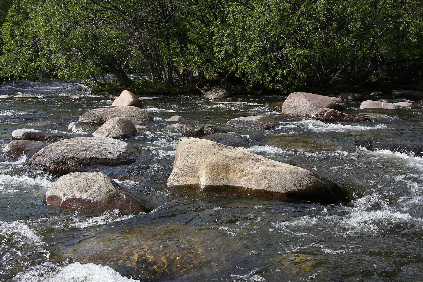 Окрестности Сармы, image of landscape/habitat.