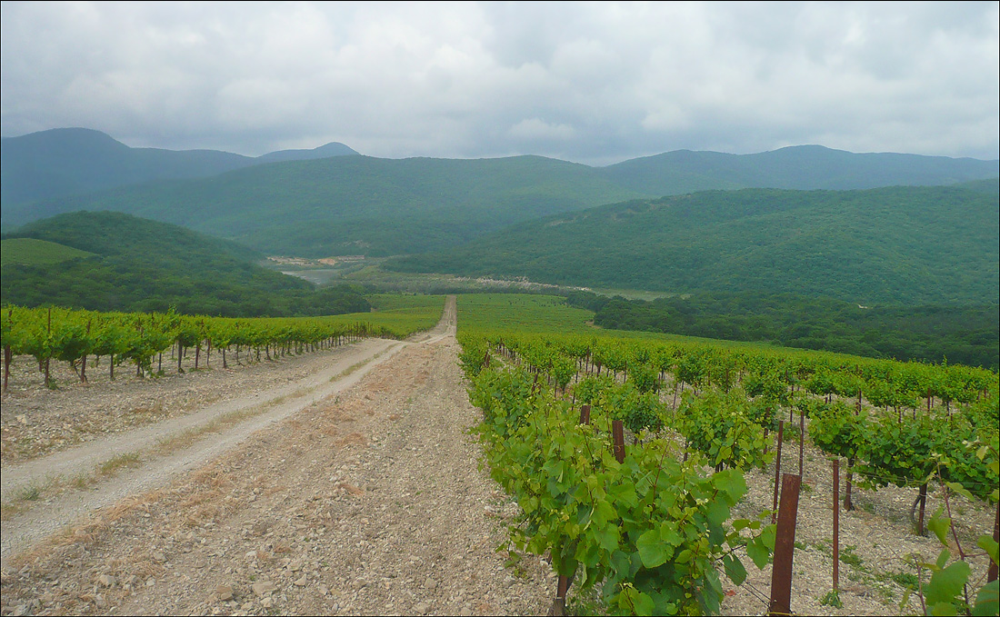 Долина реки Дюрсо, image of landscape/habitat.