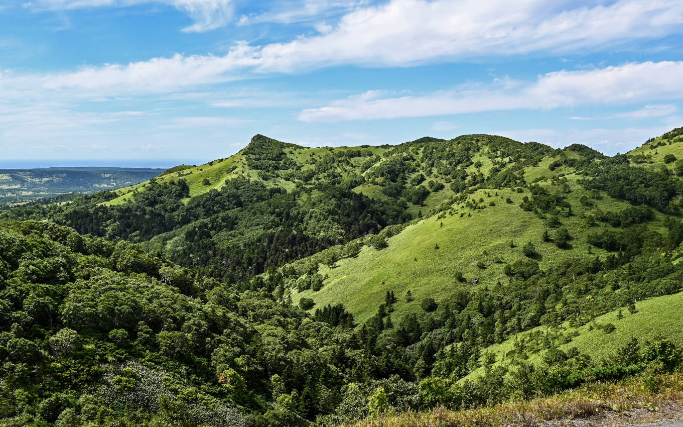 Гора Бережная, изображение ландшафта.