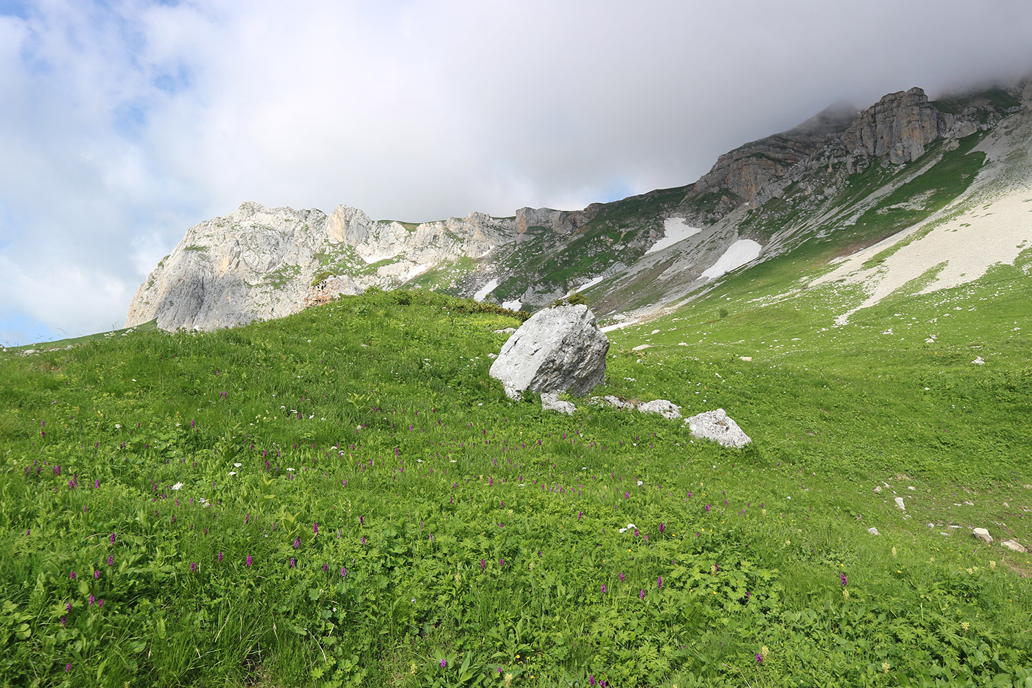 Гузерипльский перевал, image of landscape/habitat.