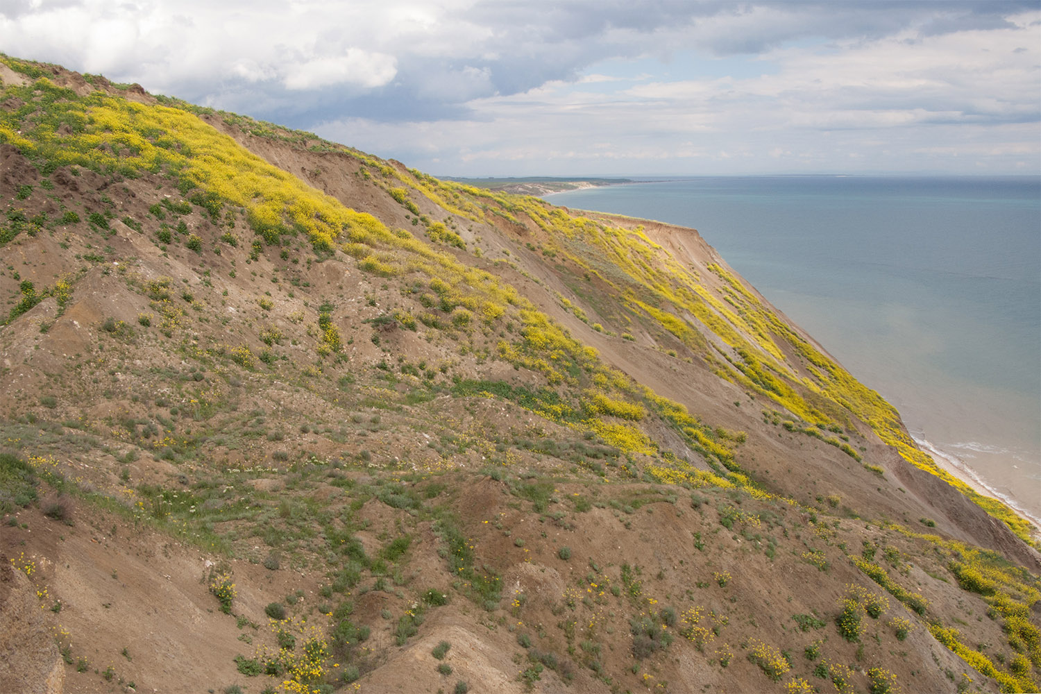 Железный Рог, image of landscape/habitat.