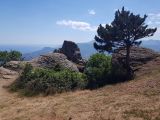 Южная Демерджи, image of landscape/habitat.