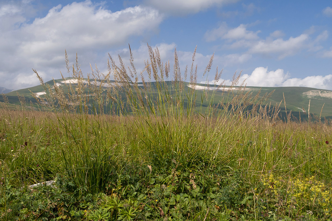 Окрестности Азишского перевала, image of landscape/habitat.
