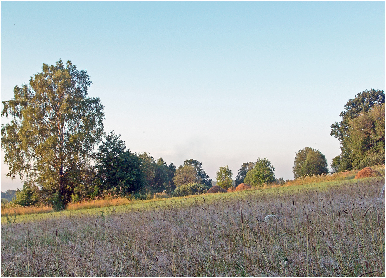 Вазуза, изображение ландшафта.