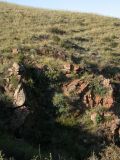 Image of landscape