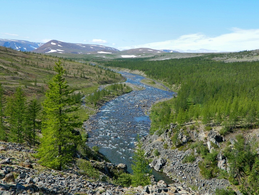 Хойла, image of landscape/habitat.