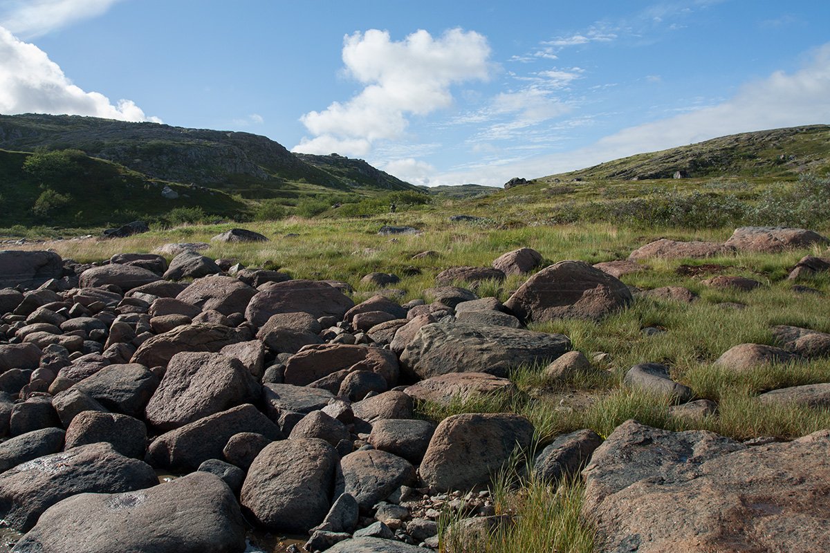 Устье Столбового ручья, image of landscape/habitat.