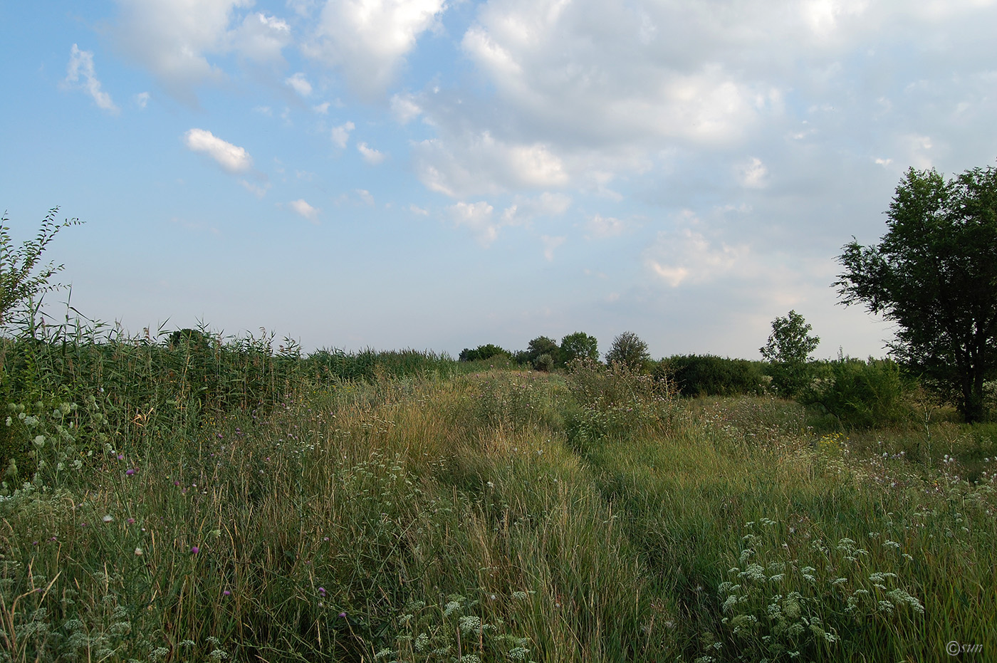 Луганск, image of landscape/habitat.