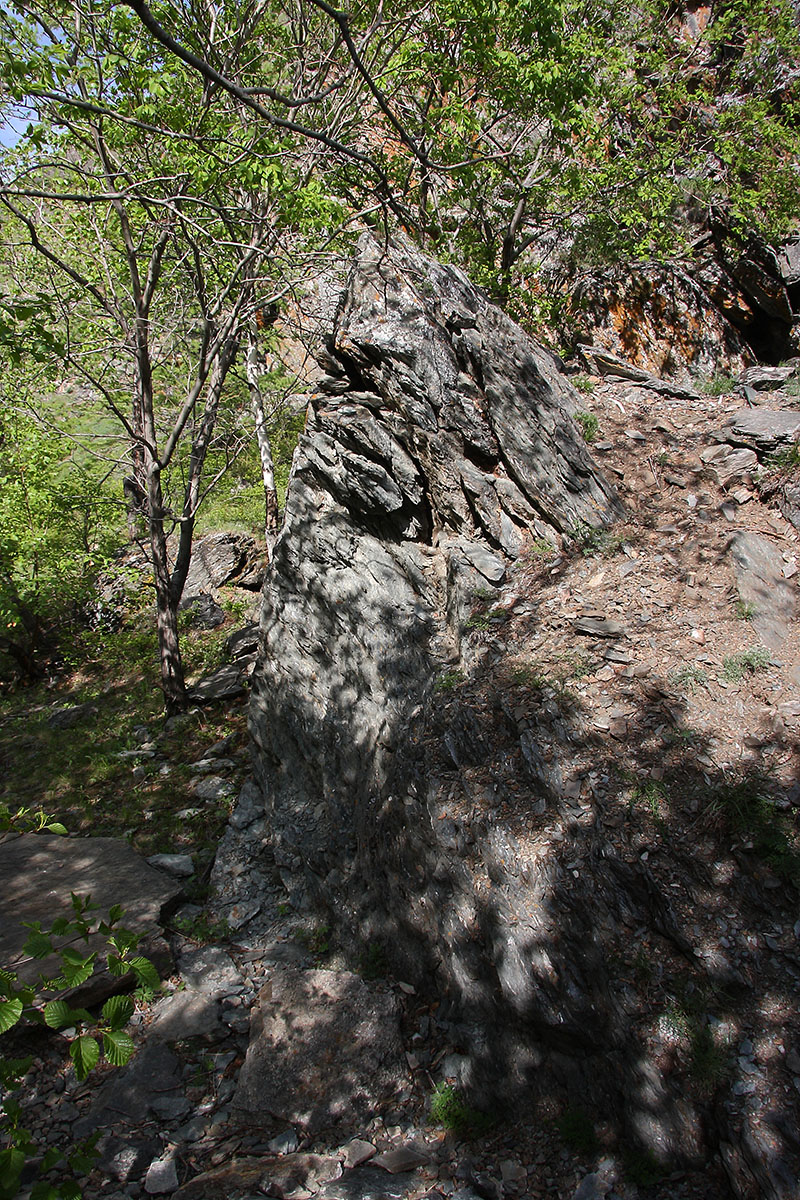 Окрестности Сармы, image of landscape/habitat.