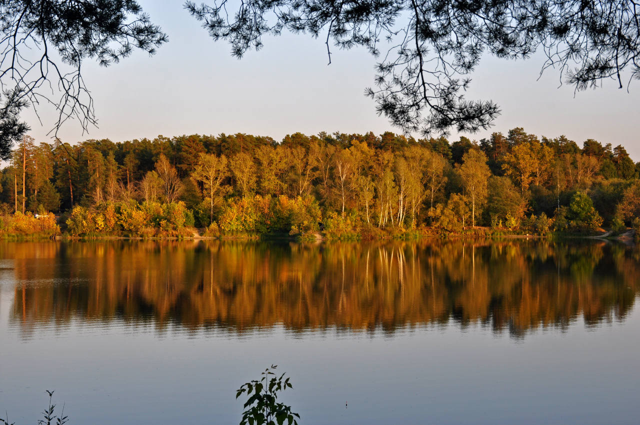 Долина реки Нерская, image of landscape/habitat.