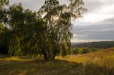 Image of landscape