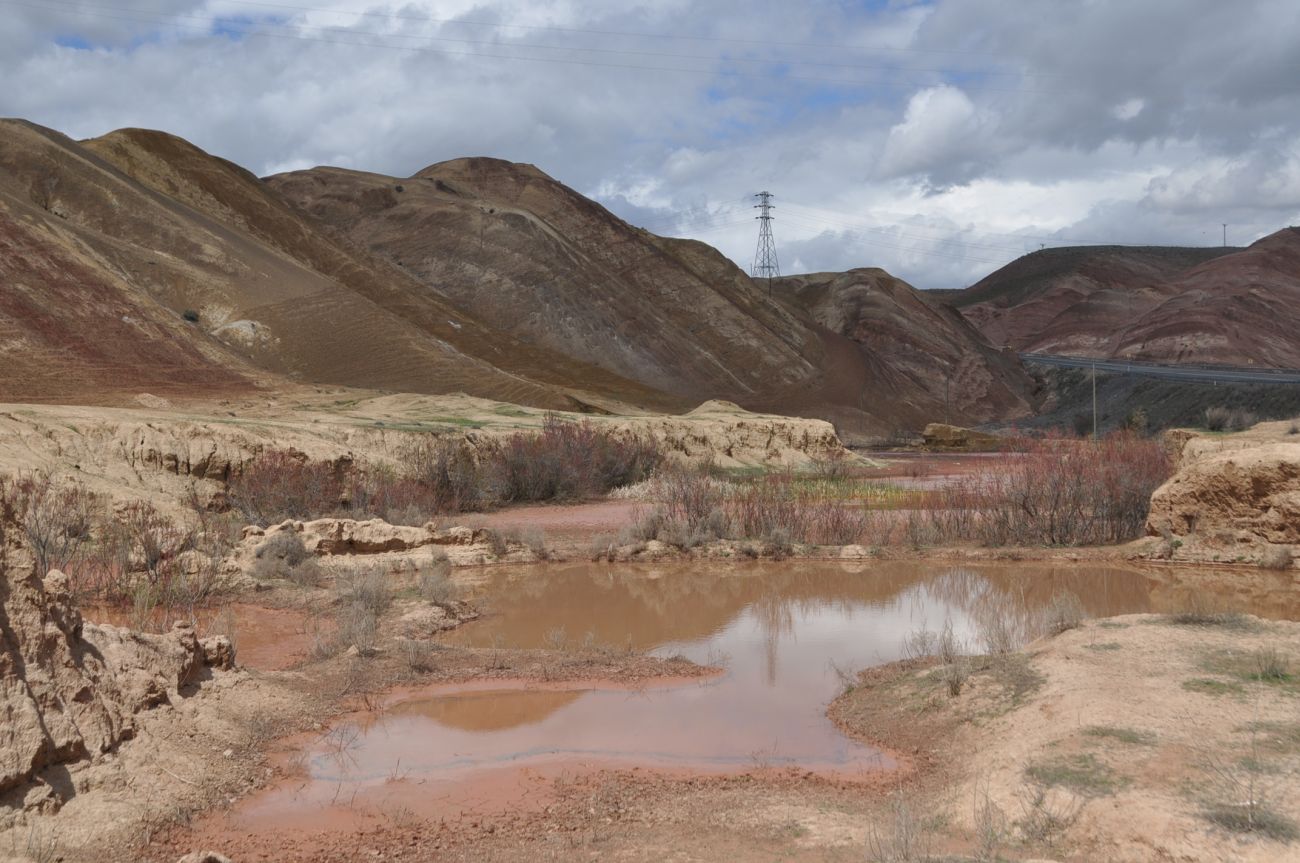 Урочище Красные горы, image of landscape/habitat.