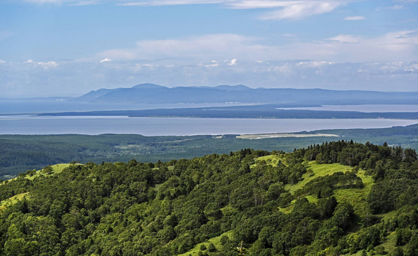 Озеро Буссе, image of landscape/habitat.