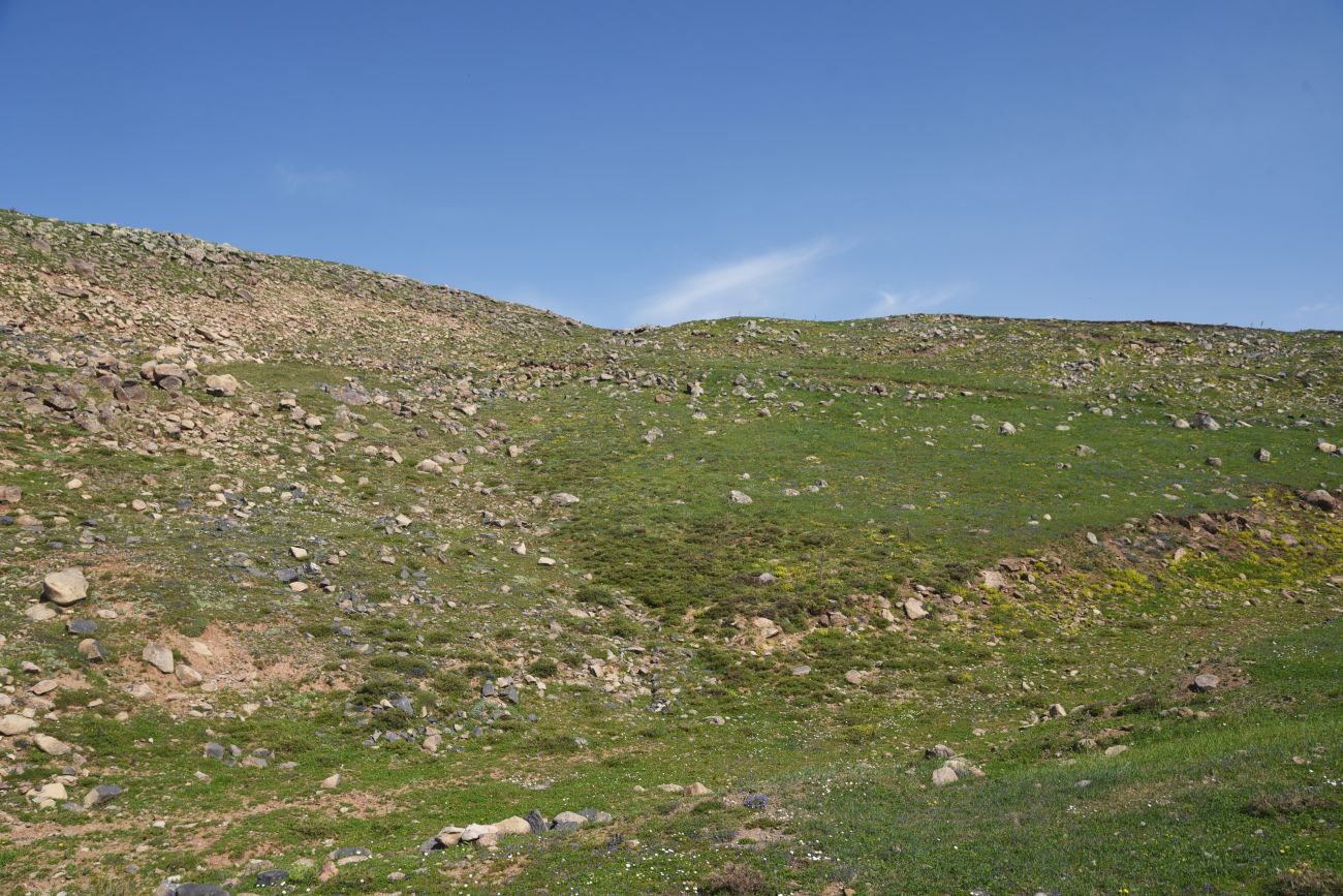 Локальный перевал, image of landscape/habitat.