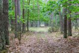 Бобинка и окрестности, image of landscape/habitat.
