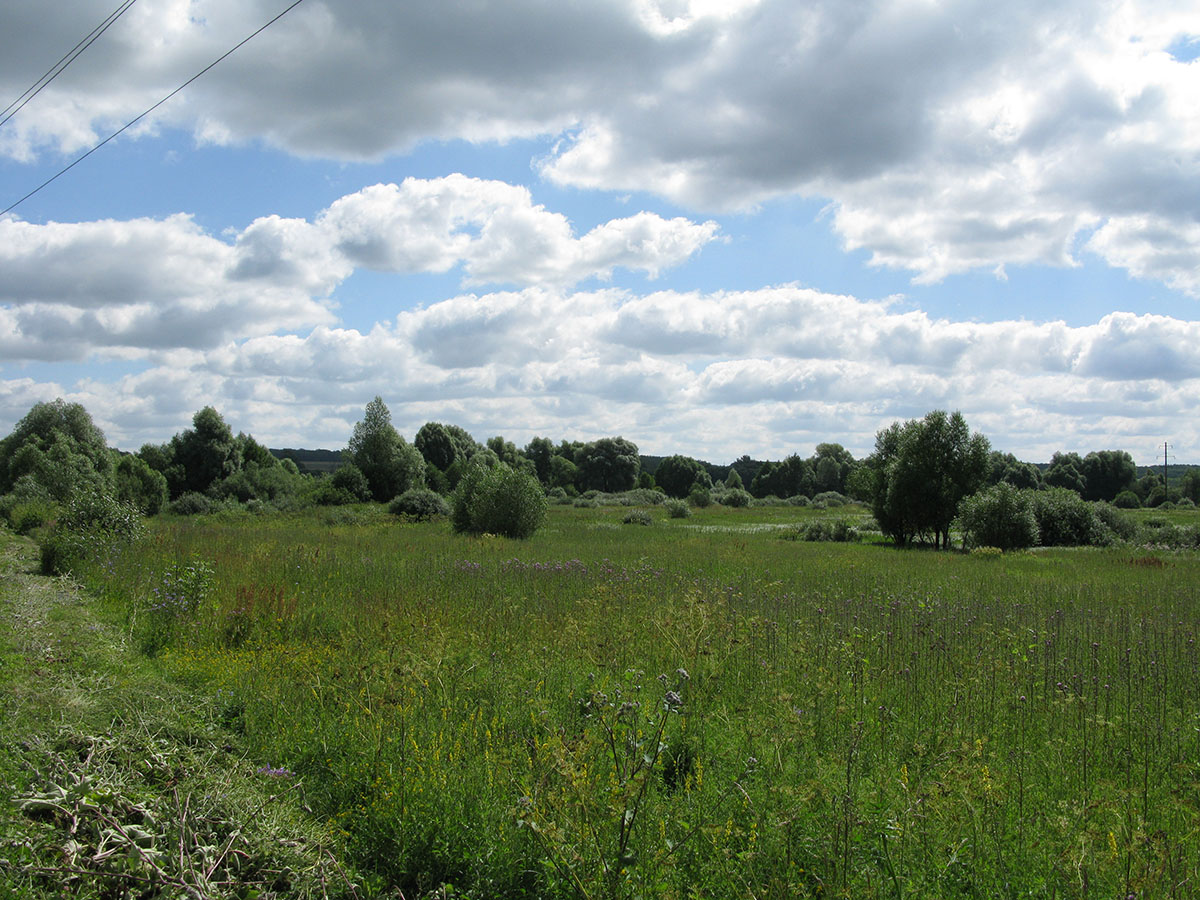 Нижнее течение реки Чернь, image of landscape/habitat.