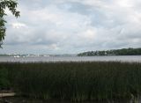 Image of landscape