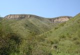 Image of landscape