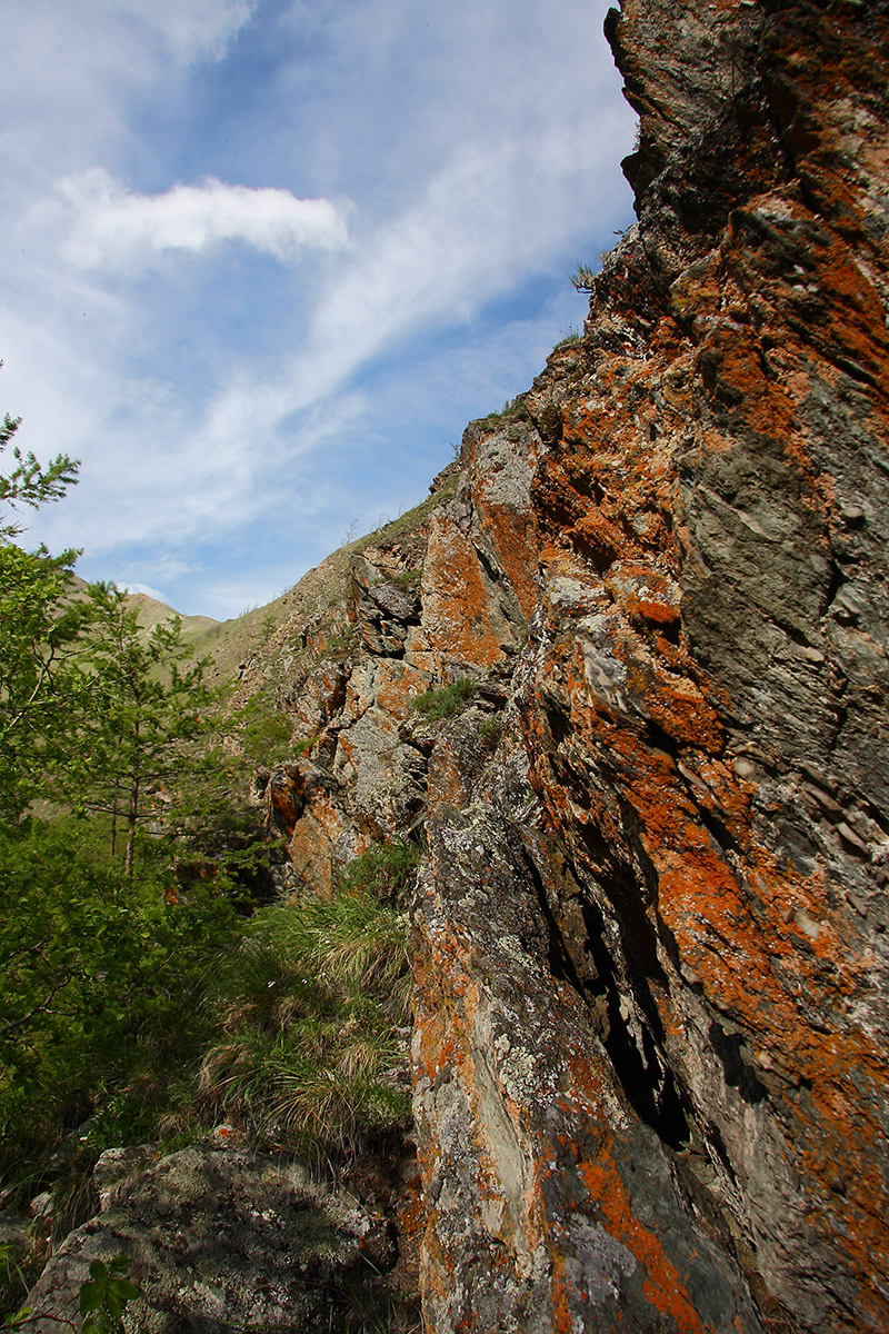 Окрестности Сармы, image of landscape/habitat.