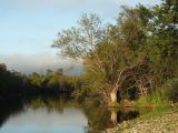 Image of landscape