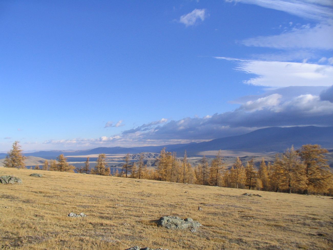 Окрестности озера Даян-Нур, image of landscape/habitat.