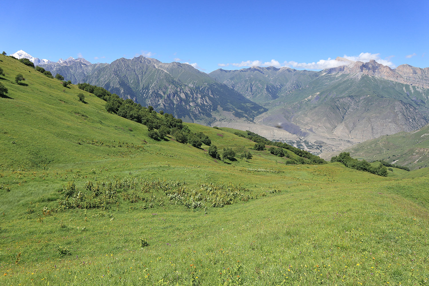 Айдарука-Цырт, image of landscape/habitat.