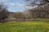 Image of landscape